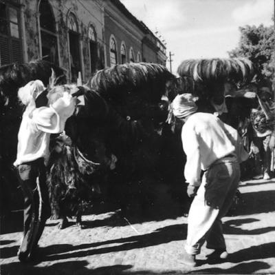 Bumba meu boi, festa popular
