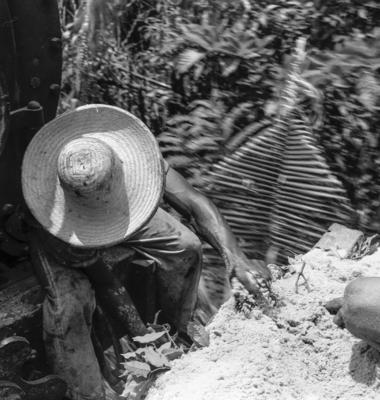 Série "Estrada de Ferro Tocantins"