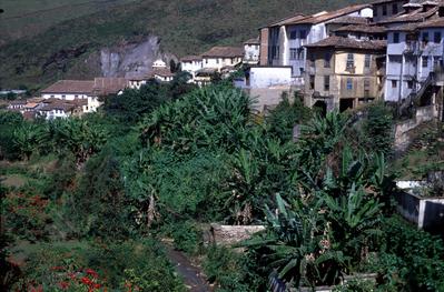 Casas em meio à vegetação