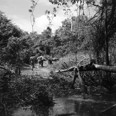 Expedição do SPI que estabeleceu os primeiros contatos com o povo Asuriní do Tocantins
