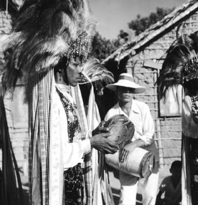 Bumba meu boi, festa popular