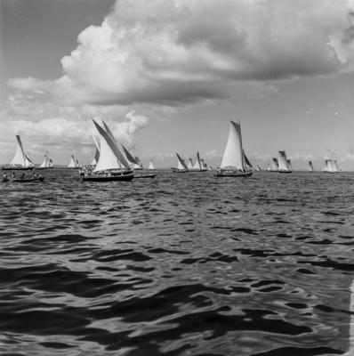 Procissão de Nosso Senhor dos Navegantes