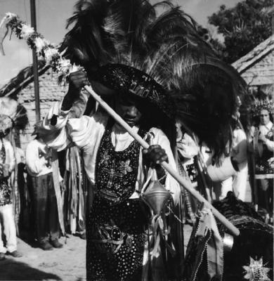 Bumba meu boi, festa popular