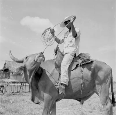 Vaqueiro - Ilha Mexiana