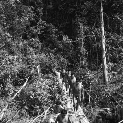 Expedição do SPI que estabeleceu os primeiros contatos com o povo Asuriní do Tocantins