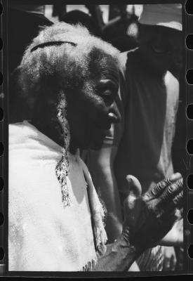 Festa ao Senhor Bom Jesus dos Navegantes