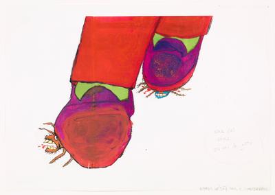 Os insetos (sobretudo as baratas)