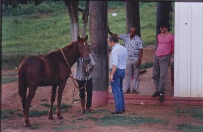 Pessoas em volta de cavalo, de camisa azul e calça jeans, Kim Esteve
