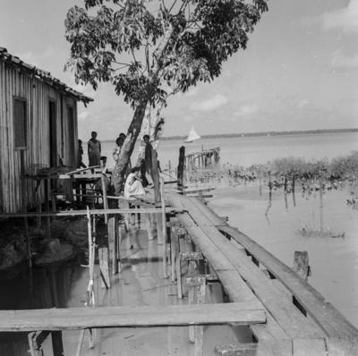 Rio Guamá, palafitas flutuantes