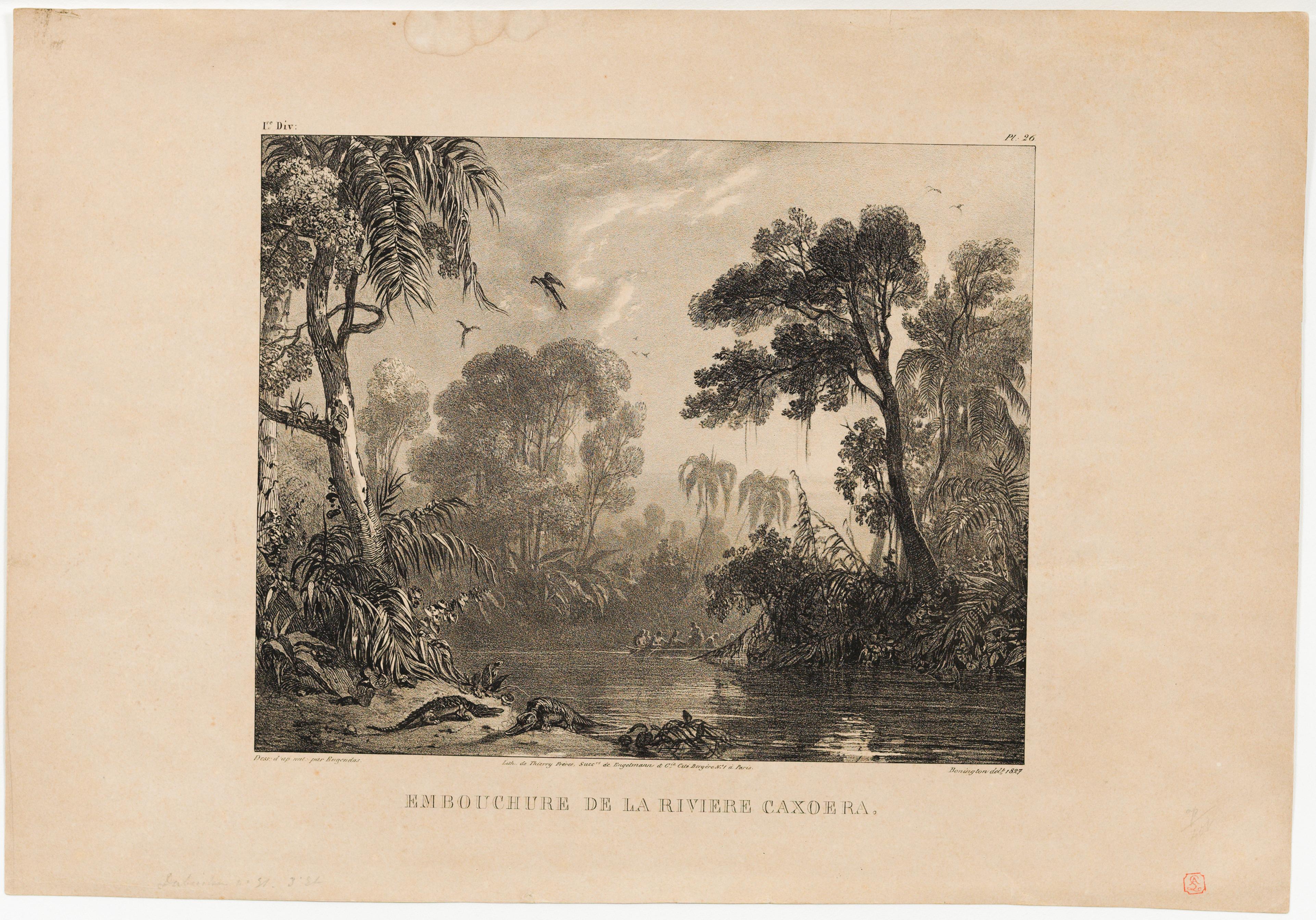 (Embocadura do Rio Cachoeira)