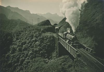 Sol a pino (meio-dia)