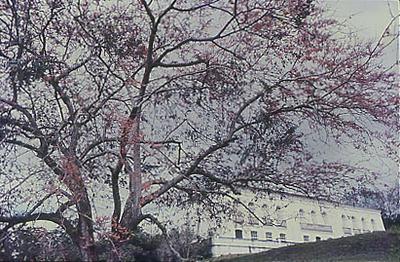 Série Gilberto Freyre - Casa de Gilberto Freyre