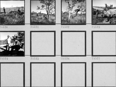 Estudantes da Universidade de Brasília