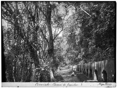 Corcovado - caminho do Aqueduto