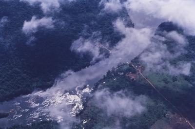 Vista aérea para floresta