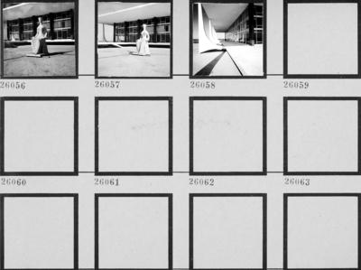 Supremo Tribunal Federal