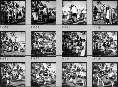 Bumba meu boi, festa popular