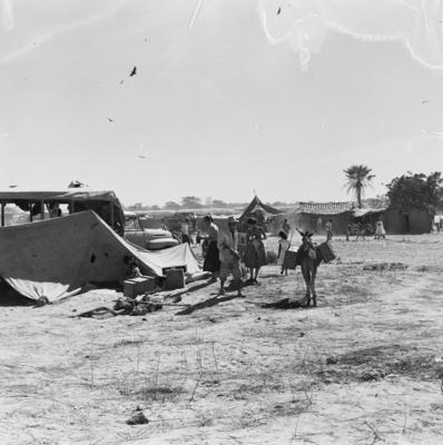 Acampamento de romeiros