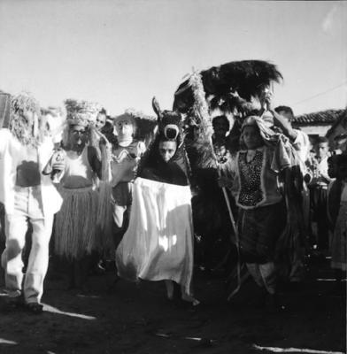 Bumba meu boi, festa popular