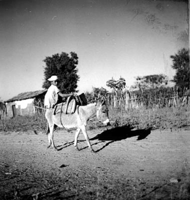 Romeiro montado em jegue