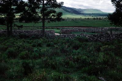 Ruínas em área rural