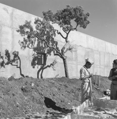 Universidade de Brasília