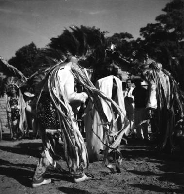 Bumba meu boi, festa popular