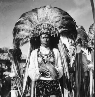 Bumba meu boi, festa popular