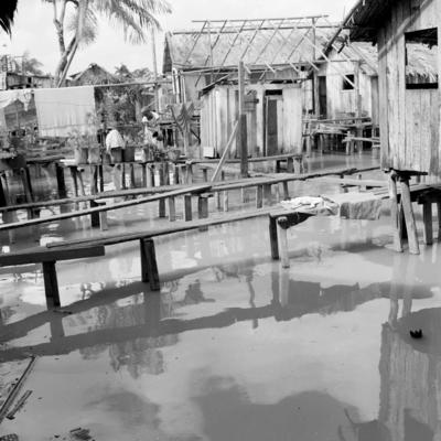 Vila da Barca, palafitas flutuantes