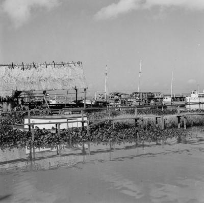 Vila da Barca, barcos