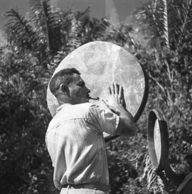 Bumba meu boi, festa popular