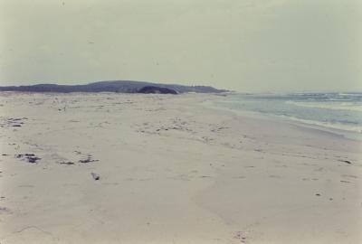 Praia próxima ao quilombo de Sibaúma