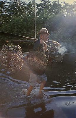 Série Caranguejeiras - Catador de caranguejo