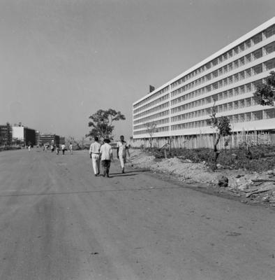 Edifícios residenciais projetados para os Institutos de Aposentadoria e Pensões