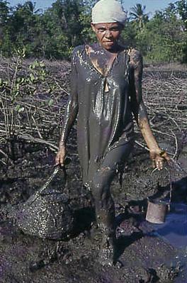 Série Caranguejeiras - Catadora de caranguejo