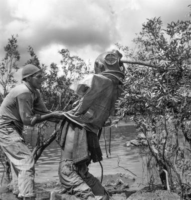 Garimpo de diamantes na Boca do Tauiri