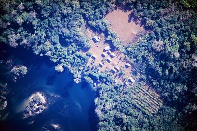 Vista aérea para casas em meio à floresta