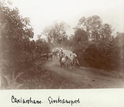 Transporte de ovos, Estrada de Caxias
