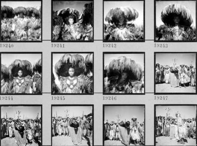 Bumba meu boi, festa popular