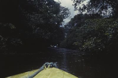 Expedição Pico da Neblina
