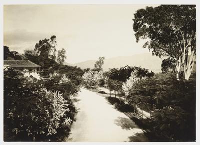 Fazenda da prefeitura em Guaratiba, atual Fazenda Modelo