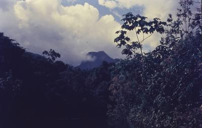 Expedição Pico da Neblina
