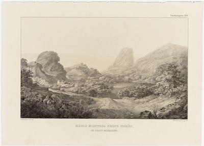 (Região montanhosa perto de cocais na Província de Minas [Gerais])