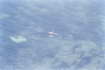 Aventuras de Igor na Antártida