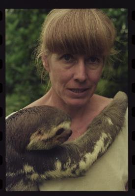 Heidi e as preguiças