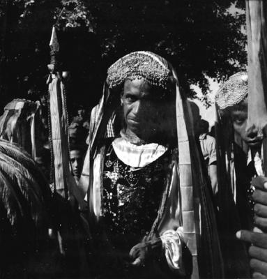 Bumba meu boi, festa popular