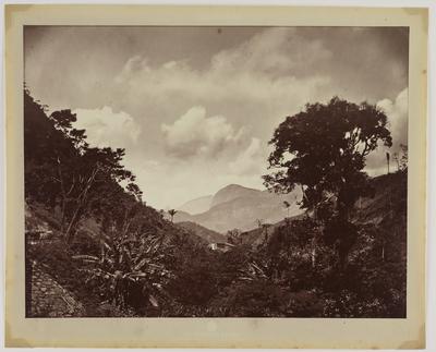 O Maciço de Alcobaça