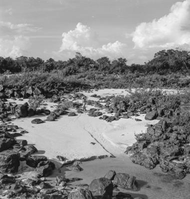 Série "Estrada de Ferro Tocantins"