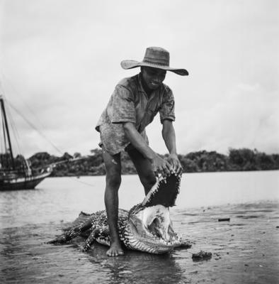 Caça de jacarés na Ilha Mexiana