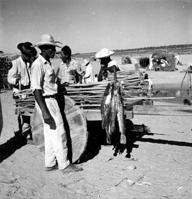 Romeiros em torno de um carro de boi com peixes